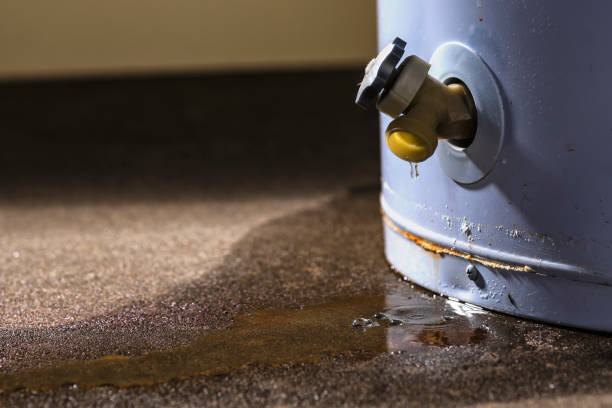 Best Water damage contractors near me  in Fruitdale, CA