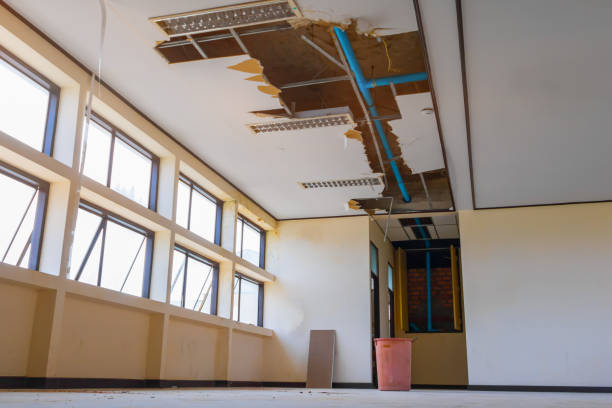 Best Fire Damage Restoration  in Fruitdale, CA