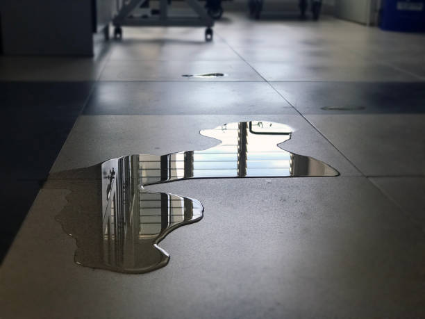 Best Water damage restoration near me  in Fruitdale, CA