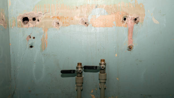 Best Mold removal after water damage  in Fruitdale, CA