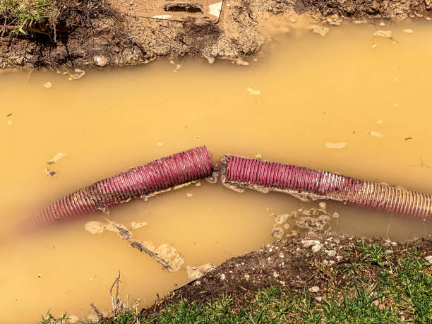 Best 24/7 water damage repair  in Fruitdale, CA
